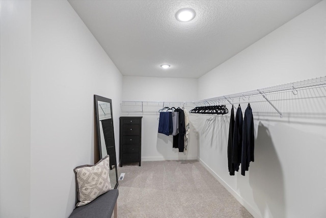 10082 Arrowwood Trl, Woodbury, MN 55129 - spacious closet featuring light carpet