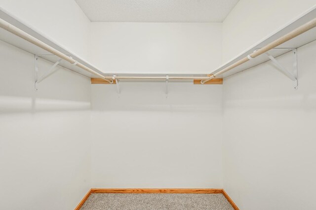 10735 3rd Street Pl N, Lake Elmo, MN 55042 - photo 21
