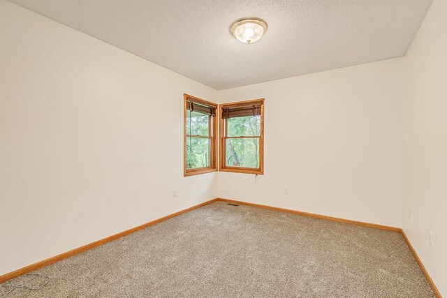 10735 3rd Street Pl N, Lake Elmo, MN 55042 - photo 23
