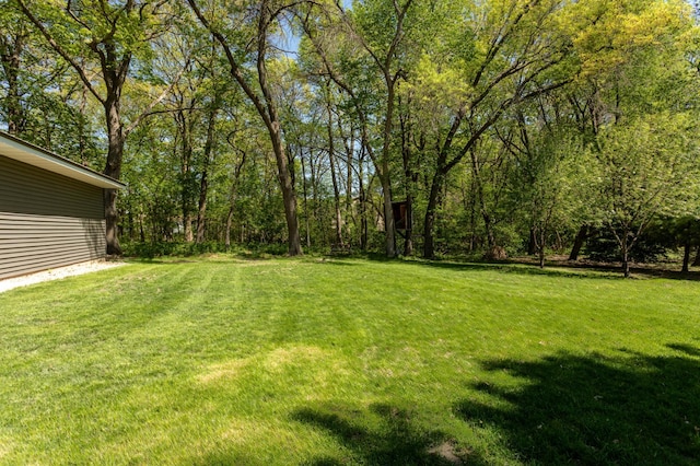 2510 Conifer Ave, Alexandria, MN 56308 - view of green lawn