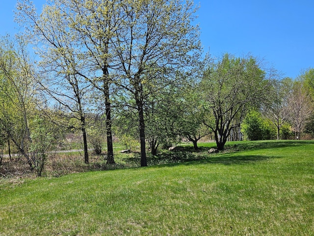 6872 Grenwich Ln N Unit 0, Oakdale, MN 55128 - view of green lawn