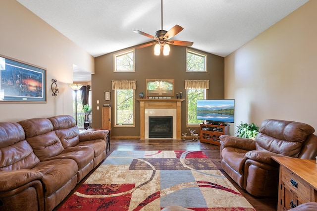 14573 Krypton St NW, Ramsey, MN 55303 - living area featuring ceiling fan, a glass covered fireplace, wood finished floors, and high vaulted ceiling
