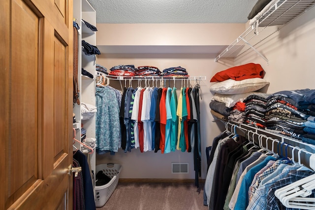 14573 Krypton St NW, Ramsey, MN 55303 - spacious closet with carpet flooring