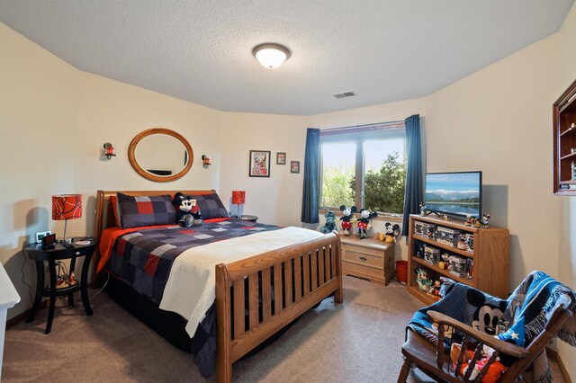 14573 Krypton St NW, Ramsey, MN 55303 - bedroom featuring carpet and a textured ceiling