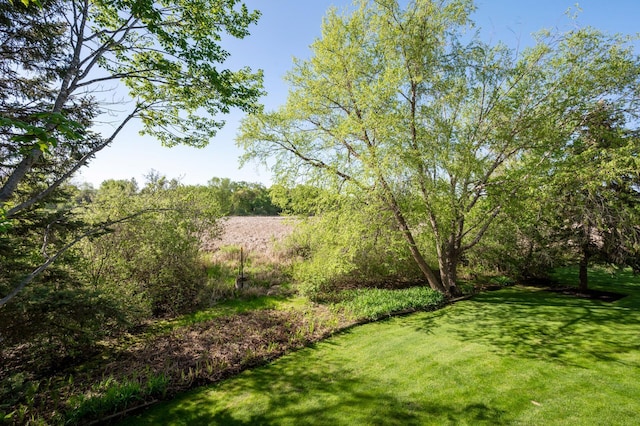 14573 Krypton St NW, Ramsey, MN 55303 - view of green lawn