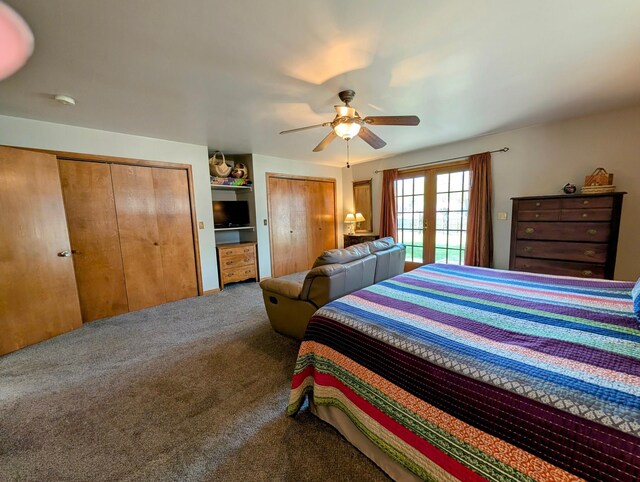 617 9th St, Montevideo, MN 56265 - carpeted bedroom with multiple closets and ceiling fan