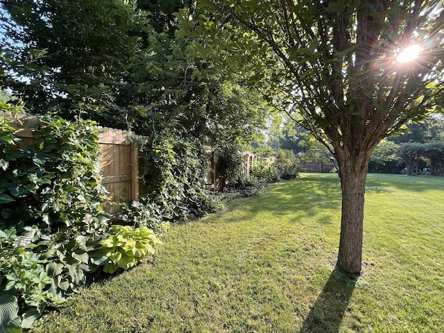 617 9th St, Montevideo, MN 56265 - view of yard