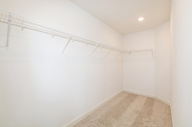 walk in closet featuring carpet flooring