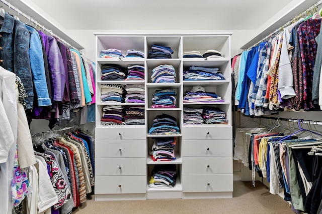 154 Babcock Ln, Wayzata, MN 55391 - spacious closet featuring carpet floors