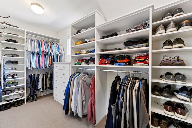 154 Babcock Ln, Wayzata, MN 55391 - spacious closet with carpet floors