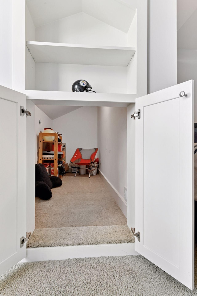 154 Babcock Ln, Wayzata, MN 55391 - mudroom with lofted ceiling and carpet floors