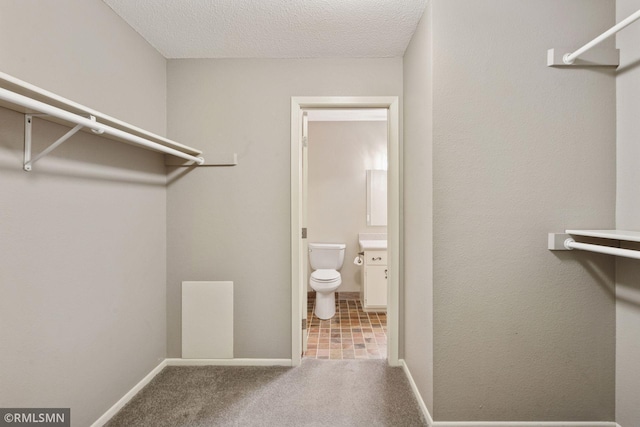 11031 Oregon Cir Unit 58, Bloomington, MN 55438 - walk in closet featuring carpet
