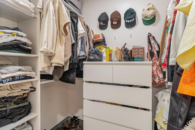 730 Stinson Blvd Unit 406, Minneapolis, MN 55413 - view of spacious closet