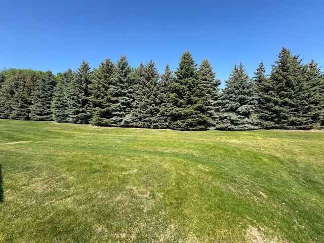 1675 Skywood Ln, Eagan, MN 55122 - view of green lawn