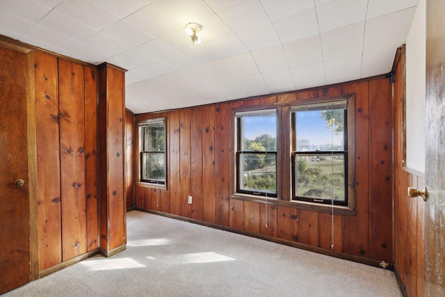 1264 Snelling Ave N, Saint Paul, MN 55108 - unfurnished bedroom featuring wooden walls, multiple windows, carpet flooring, and baseboards