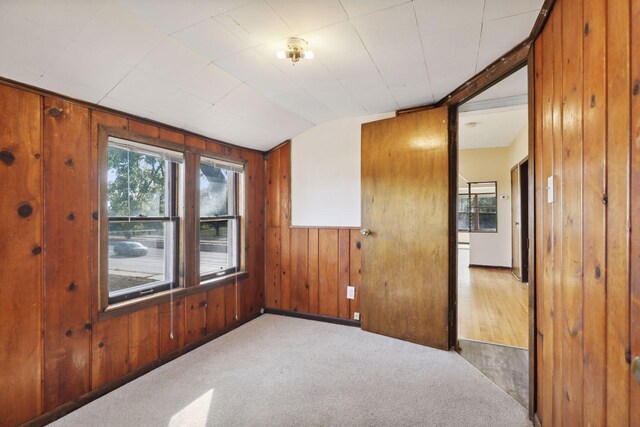 1264 Snelling Ave N, Saint Paul, MN 55108 - empty room featuring wood walls, carpet flooring, and vaulted ceiling