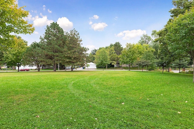1264 Snelling Ave N, Saint Paul, MN 55108 - view of green lawn