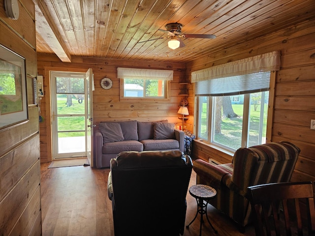 42877 Sunshine Villa Dr, Pine Lake Twp, MN 56567 - photo 30