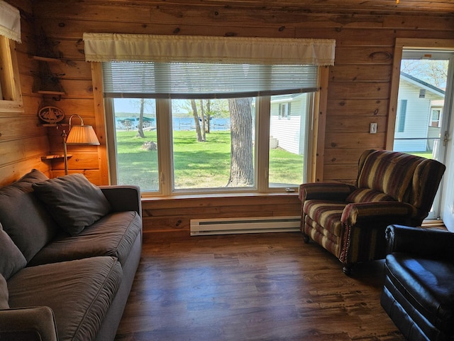 42877 Sunshine Villa Dr, Pine Lake Twp, MN 56567 - photo 35
