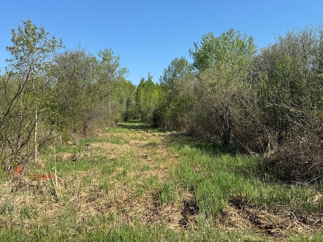 TBD Skog Rd, Kettle River, MN 55757