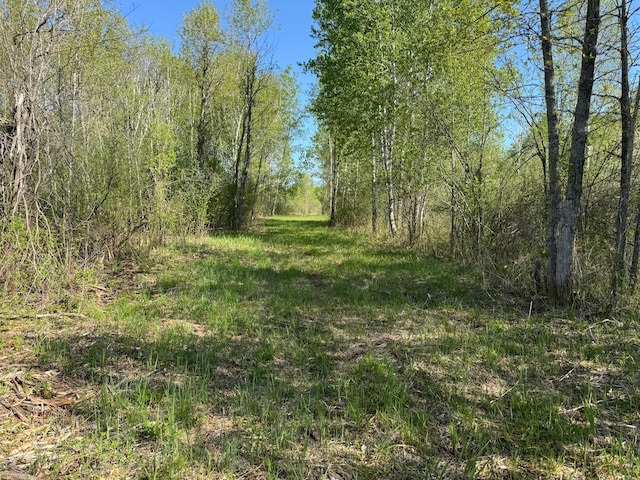 TBD Skog Rd, Kettle River, MN 55757