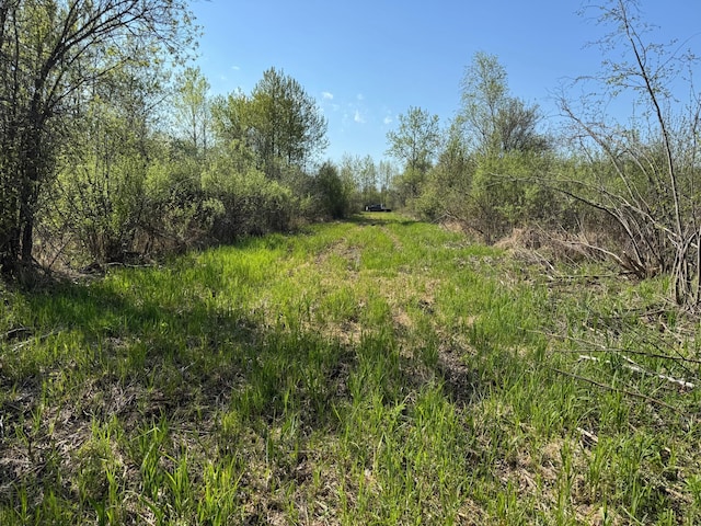 TBD Skog Rd, Kettle River, MN 55757
