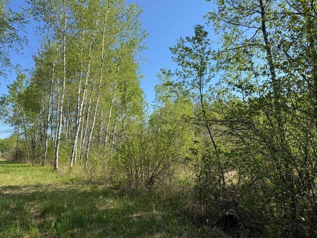 TBD Skog Rd, Kettle River, MN 55757