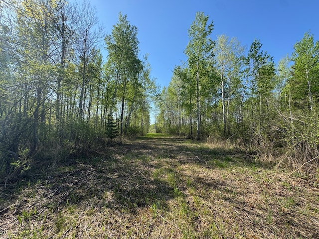 TBD Skog Rd, Kettle River, MN 55757