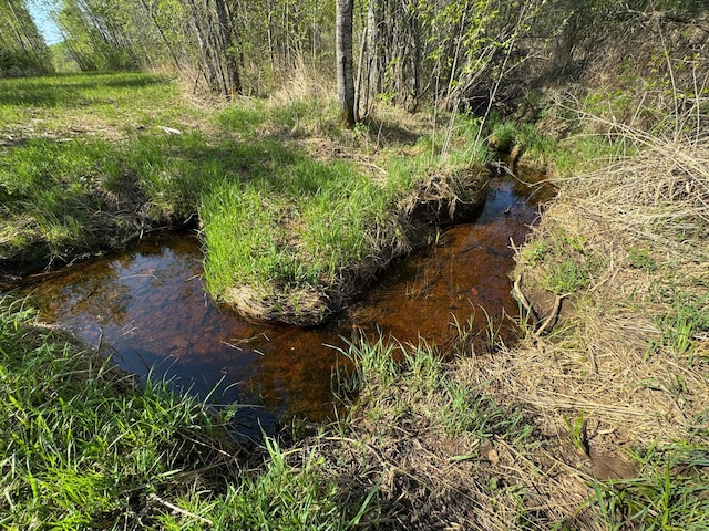 TBD Skog Rd, Kettle River, MN 55757