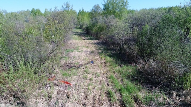 TBD Skog Rd, Kettle River, MN 55757