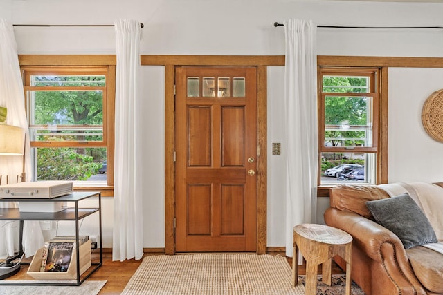 entrance foyer featuring wood finished floors