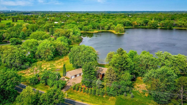 2270 Manning Trl N, Lake Elmo, MN 55042 - bird's eye view of a large body of water and a forest