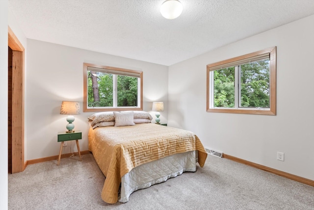 2270 Manning Trl N, Lake Elmo, MN 55042 - bedroom featuring carpet, multiple windows, baseboards, and a textured ceiling