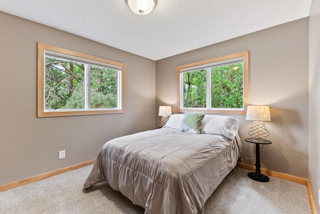 2270 Manning Trl N, Lake Elmo, MN 55042 - carpeted bedroom featuring multiple windows and baseboards