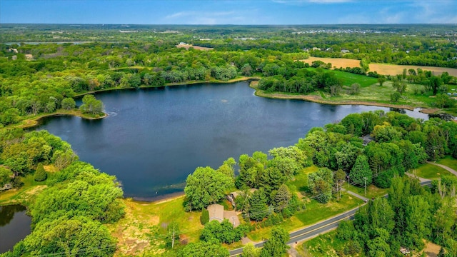 2270 Manning Trl N, Lake Elmo, MN 55042 - aerial view of a forest and a nearby body of water