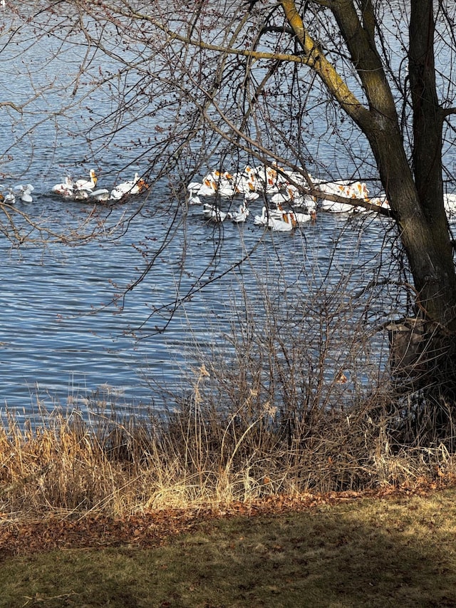 2270 Manning Trl N, Lake Elmo, MN 55042 - water view