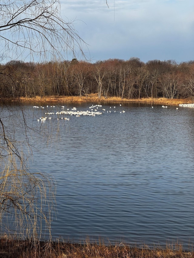2270 Manning Trl N, Lake Elmo, MN 55042 - water view