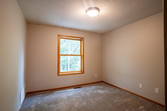 13320 Cedar Ave, Apple Valley, MN 55124 - spare room featuring carpet and a textured ceiling