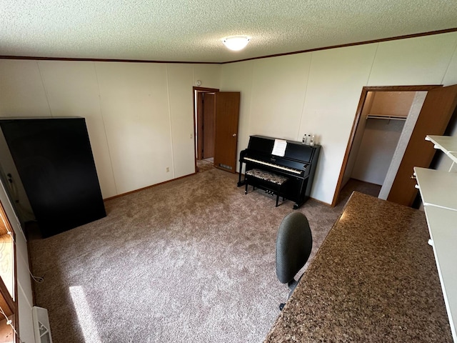 326 5th St NE, Crosby, MN 56441 - living area featuring a decorative wall, a textured ceiling, and carpet flooring