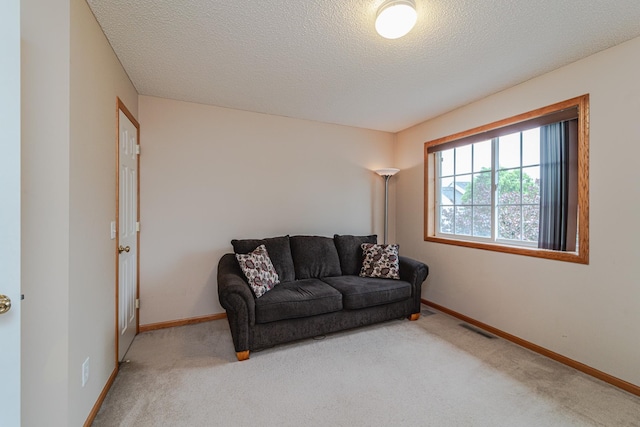17366 River Birch Ln, Prior Lake, MN 55372 - sitting room featuring carpet flooring, baseboards, and a textured ceiling