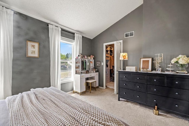 1715 Livingston Ave Unit A, West Saint Paul, MN 55118 - carpeted bedroom featuring a spacious closet, a textured ceiling, vaulted ceiling, a closet, and baseboards