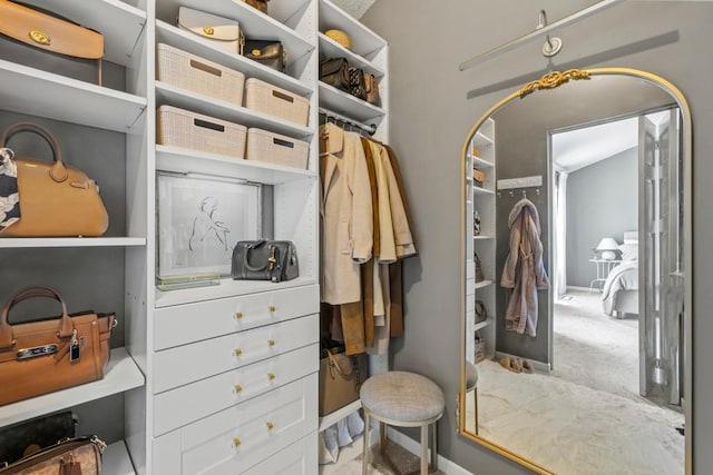 1715 Livingston Ave Unit A, West Saint Paul, MN 55118 - view of spacious closet