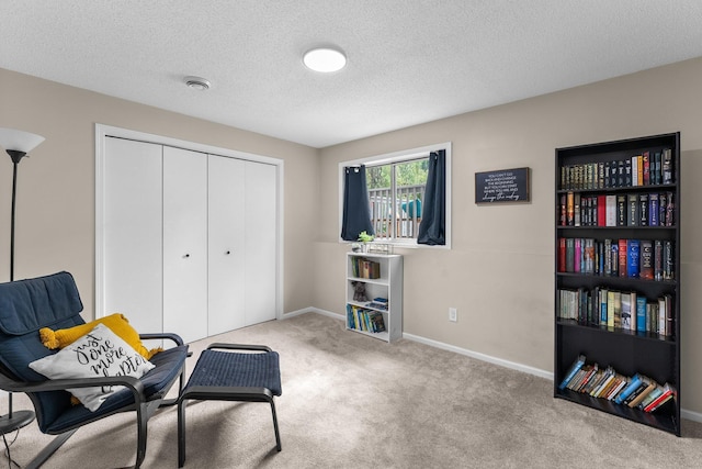 903 3rd Ave SW, Isanti, MN 55040 - sitting room with carpet flooring, baseboards, and a textured ceiling