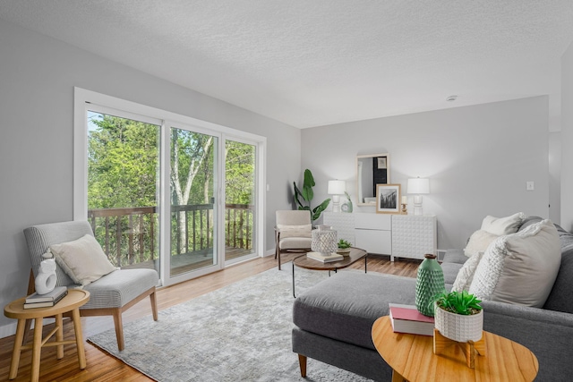 1805 Melrose Ave, Saint Louis Park, MN 55426 - living room featuring wood finished floors and a textured ceiling