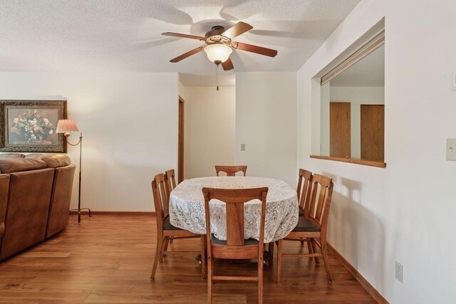 32 11th Ave S Unit 204, Hopkins, MN 55343 - photo 4