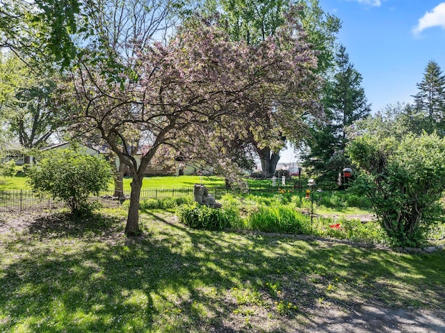 37726 2nd Ave, Dennison, MN 55018 - view of yard