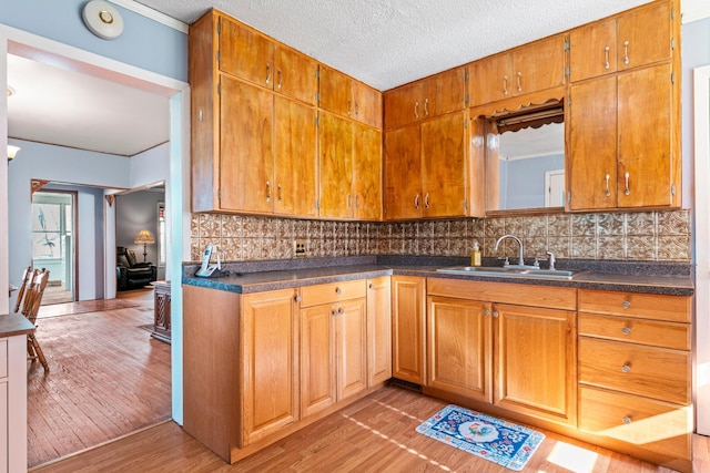 37726 2nd Ave, Dennison, MN 55018 - kitchen with a sink, light wood-type flooring, backsplash, dark countertops, and a textured ceiling