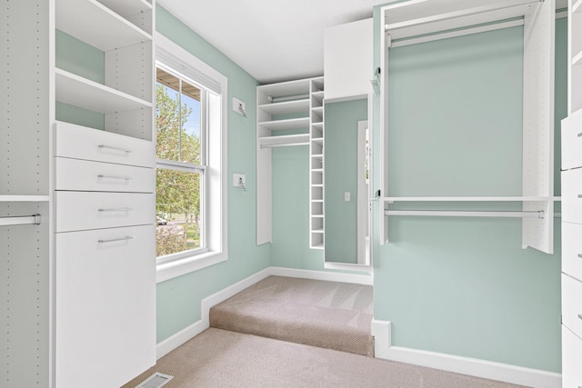 5024 Humboldt Ln N, Minneapolis, MN 55430 - spacious closet featuring carpet flooring