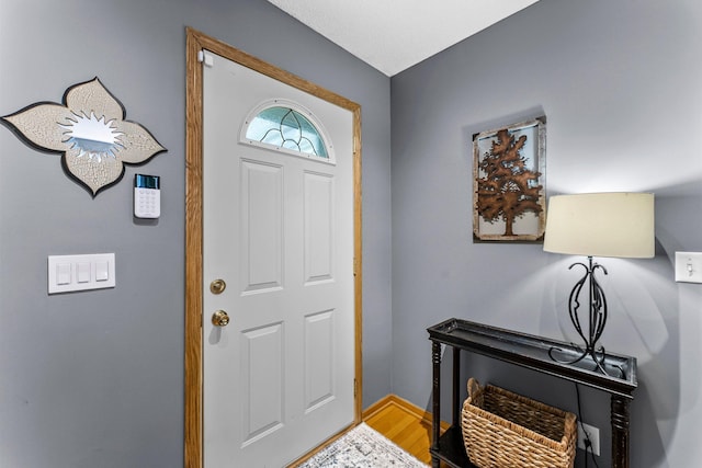 2308 Crosstown Blvd NE, Ham Lake, MN 55304 - entryway featuring wood finished floors