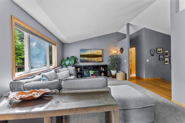 2308 Crosstown Blvd NE, Ham Lake, MN 55304 - living room with lofted ceiling, a textured ceiling, carpet, wood finished floors, and baseboards